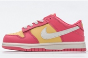 Kids Dunk SB E46
